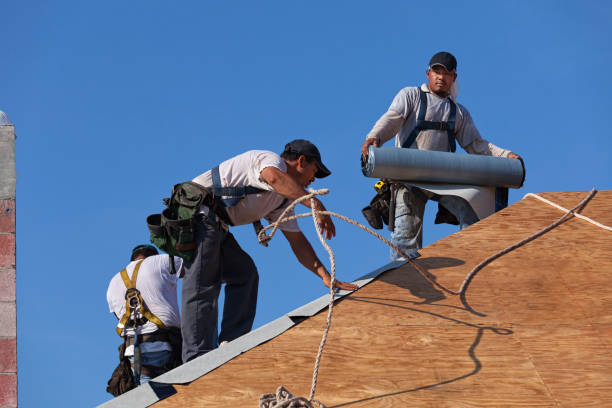Best Storm Damage Roof Repair  in Watertown, TN